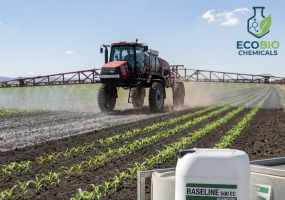Baseline 560 EC for sale