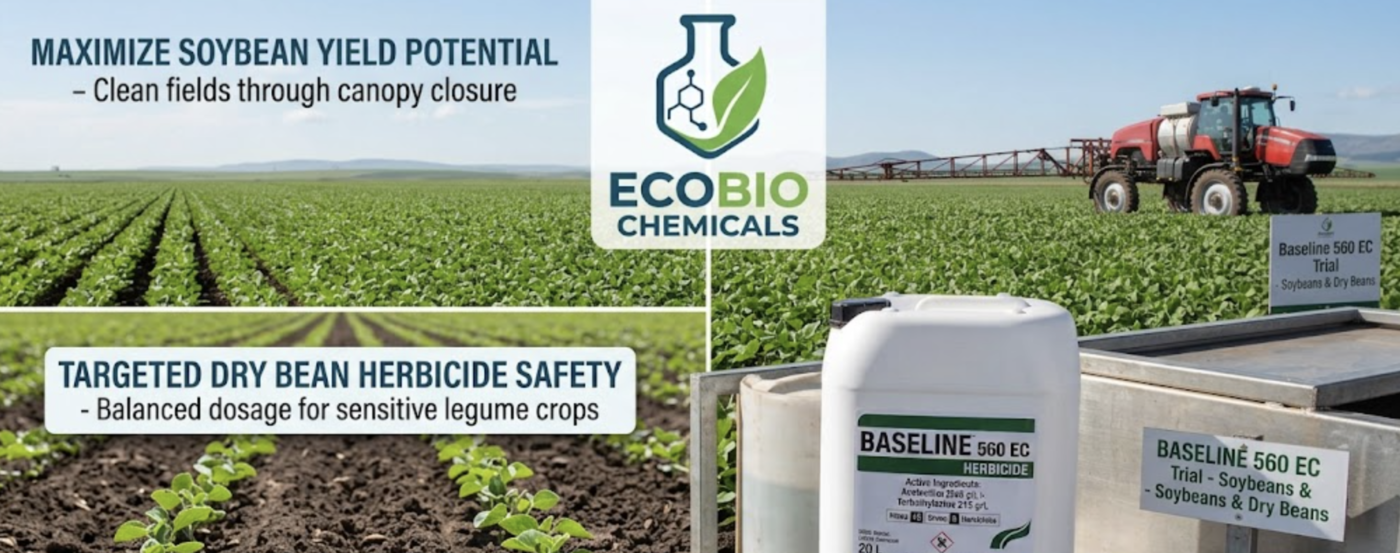Baseline 560 EC for soybeans